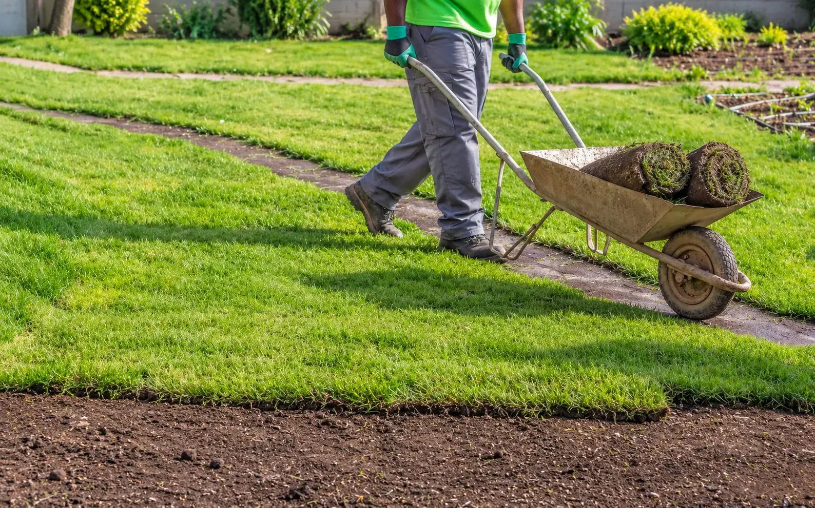 Fresh instant lawn being installed